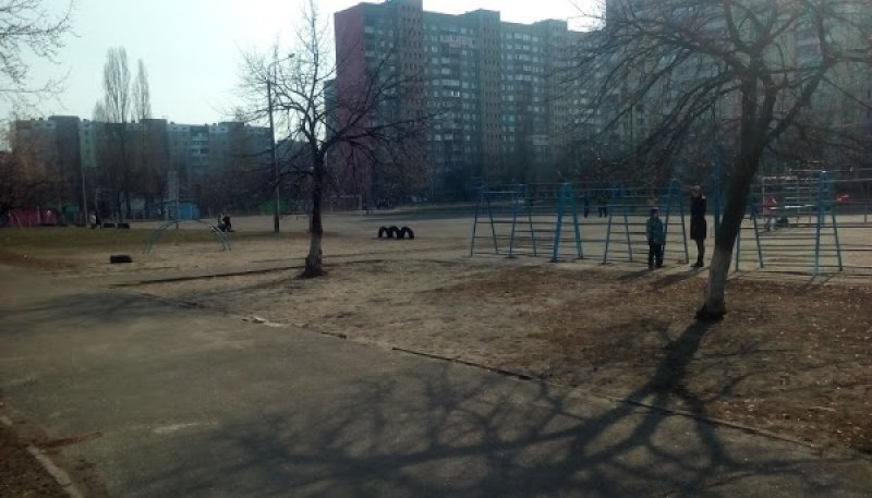 Площадка для воркаута в городе Киев №9190 Маленькая Советская фото