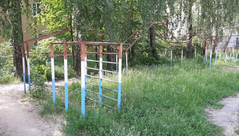 Площадка для воркаута в городе Орел №10795 Большая Советская фото
