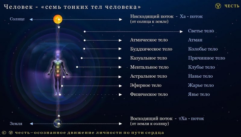 Площадка для воркаута в городе Брест №10873 Маленькая Современная фото