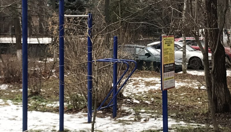 Площадка для воркаута в городе Королев №11146 Маленькая Легендарная фото
