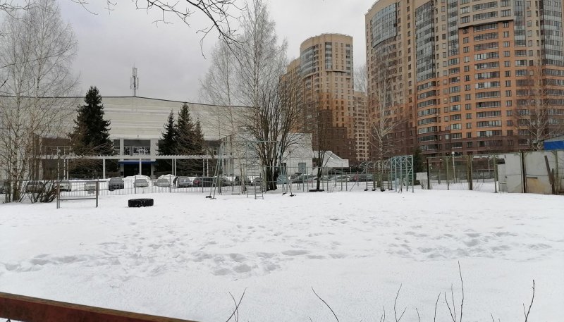 Площадка для воркаута в городе Санкт-Петербург №12311 Средняя Советская фото