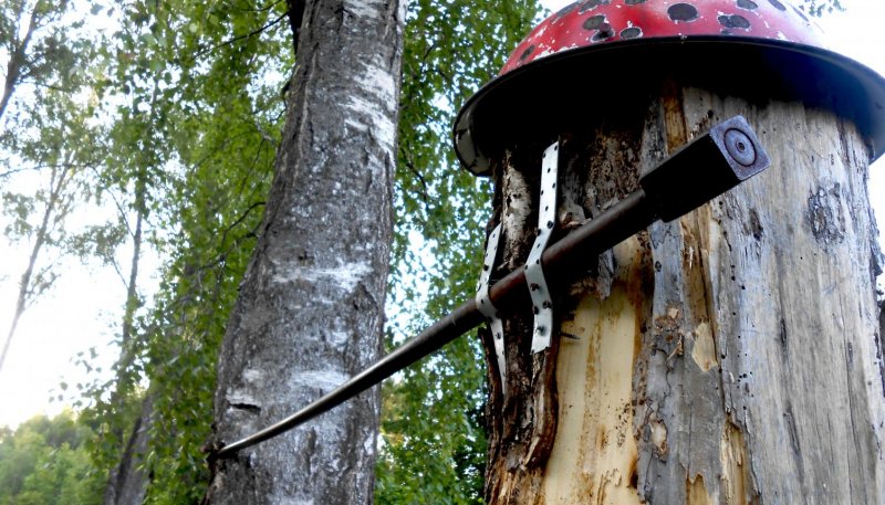 Площадка для воркаута в городе Сергиев Посад №12426 Маленькая Советская фото