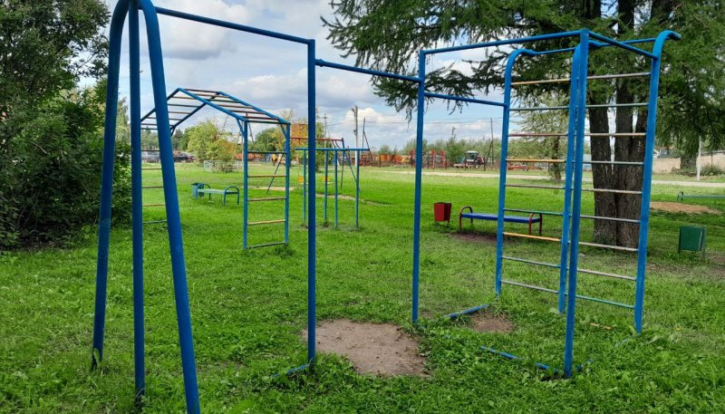 Площадка для воркаута в городе Сергиев Посад №12592 Средняя Современная фото