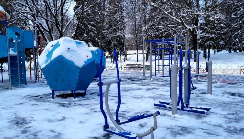 Площадка для воркаута в городе Сергиев Посад №12723 Средняя Современная фото