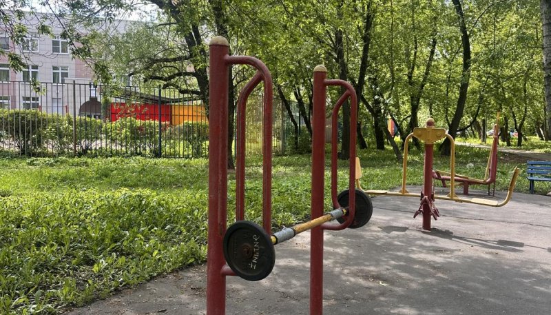 Площадка для воркаута в городе Москва №13128 Маленькая Советская фото