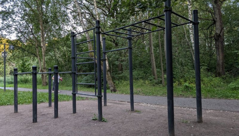 Площадка для воркаута в городе Лобня №13192 Маленькая Хомуты фото