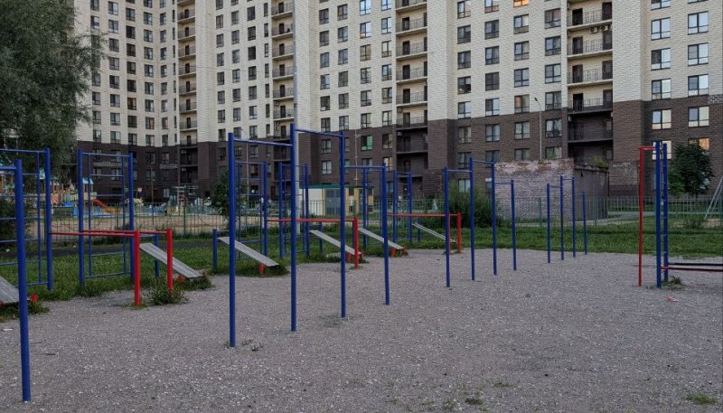 Площадка для воркаута в городе Лобня №13195 Большая Советская фото