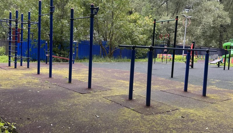 Площадка для воркаута в городе Москва №13202 Маленькая Хомуты фото
