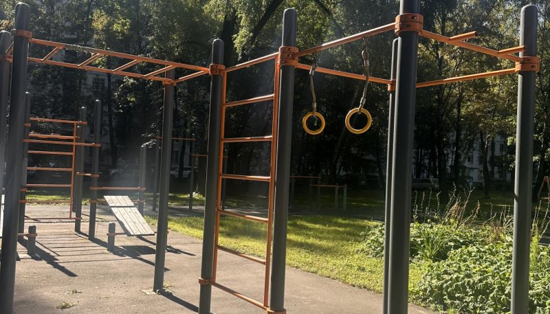 Площадка для воркаута в городе Москва №13213 Маленькая Хомуты фото