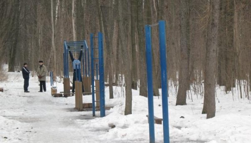 Площадка для воркаута в городе Москва №3062 Средняя Советская фото