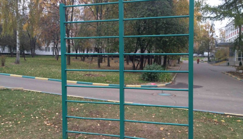 Площадка для воркаута в городе Москва №4478 Маленькая Советская фото