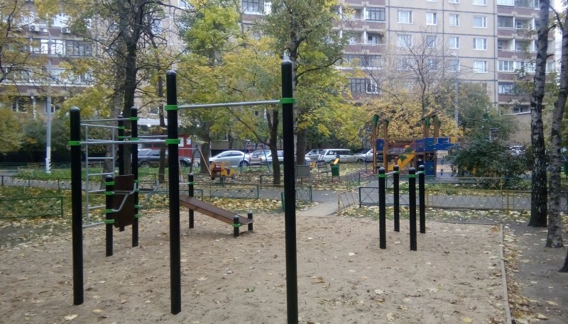 Площадка для воркаута в городе Москва №2512 Маленькая Хомуты фото