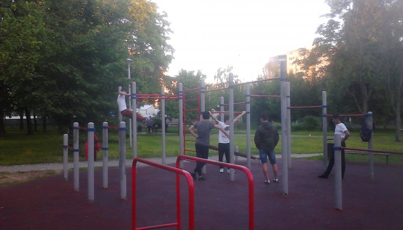 Площадка для воркаута в городе Москва №2954 Средняя Хомуты фото