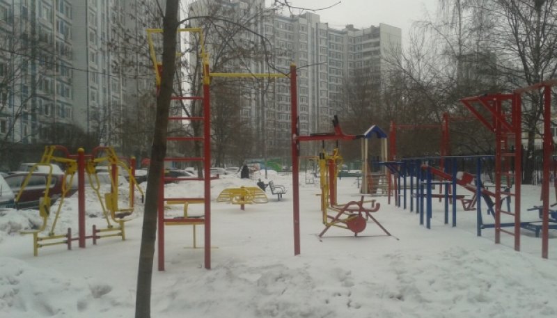 Площадка для воркаута в городе Москва №4841 Средняя Современная фото