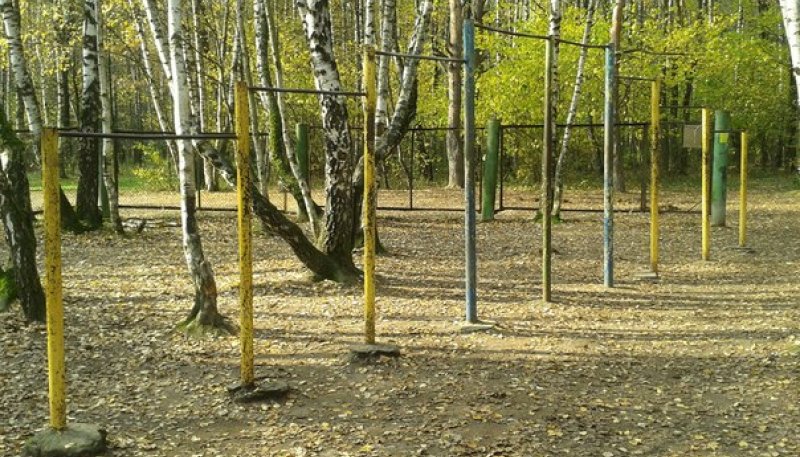 Площадка для воркаута в городе Москва №1253 Большая Советская фото