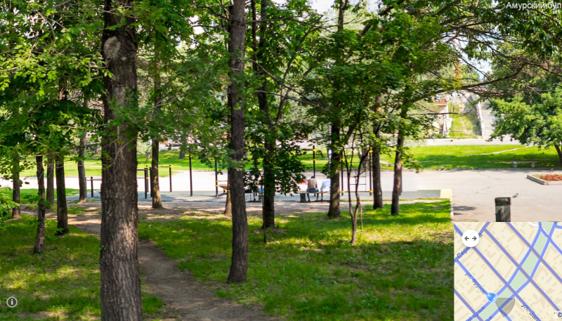 Площадка для воркаута в городе Хабаровск №5065 Средняя Хомуты фото