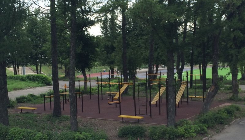 Площадка для воркаута в городе Тула №5426 Средняя Современная фото