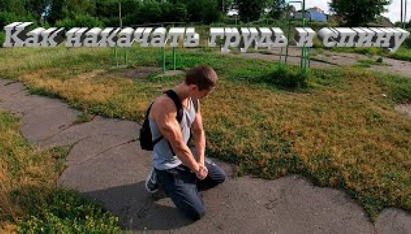 Как накачать грудь и спину