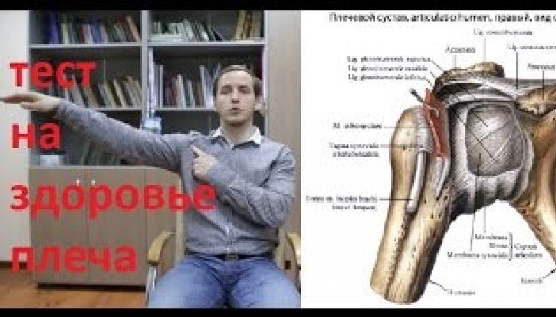 Проведи онлайн тест плеча - узнай, что болит