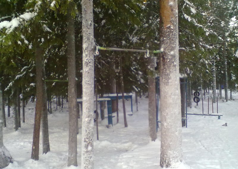 Площадка для воркаута в городе Костомукша №1978 Маленькая Современная фото