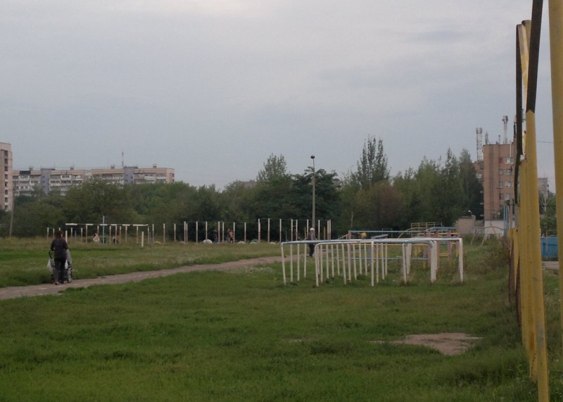 Площадка для воркаута в городе Рязань №1144 Большая Советская фото