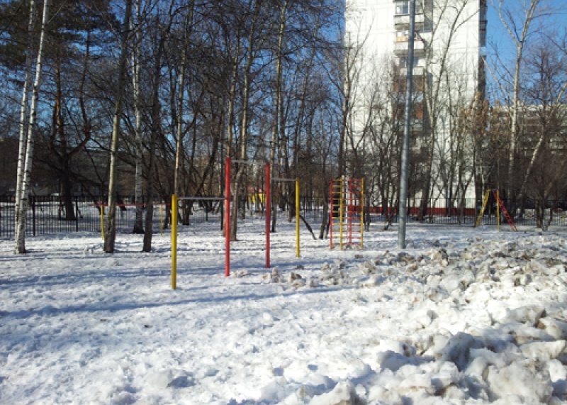 Площадка для воркаута в городе Москва №717 Средняя Современная фото