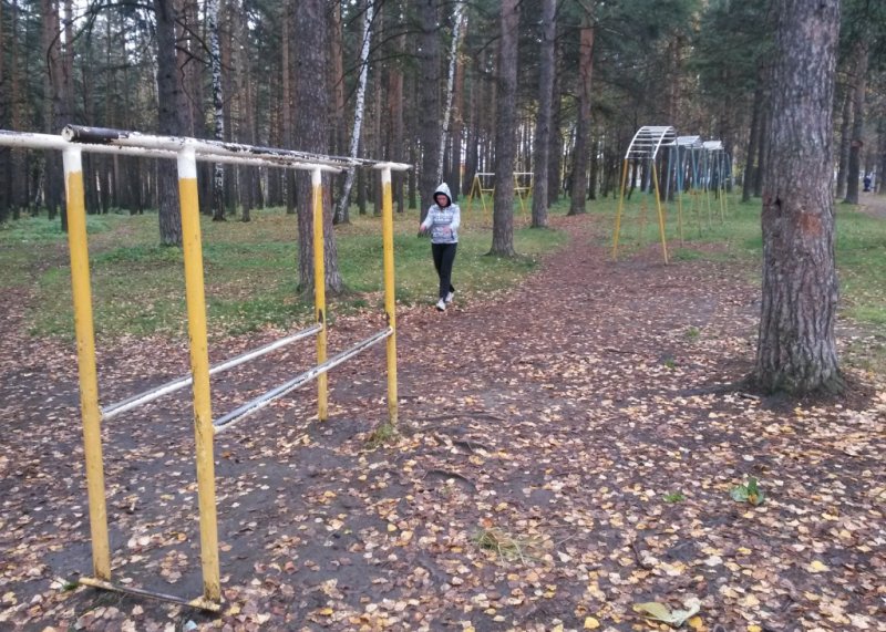 Площадка для воркаута в городе Екатеринбург №2521 Средняя Советская фото