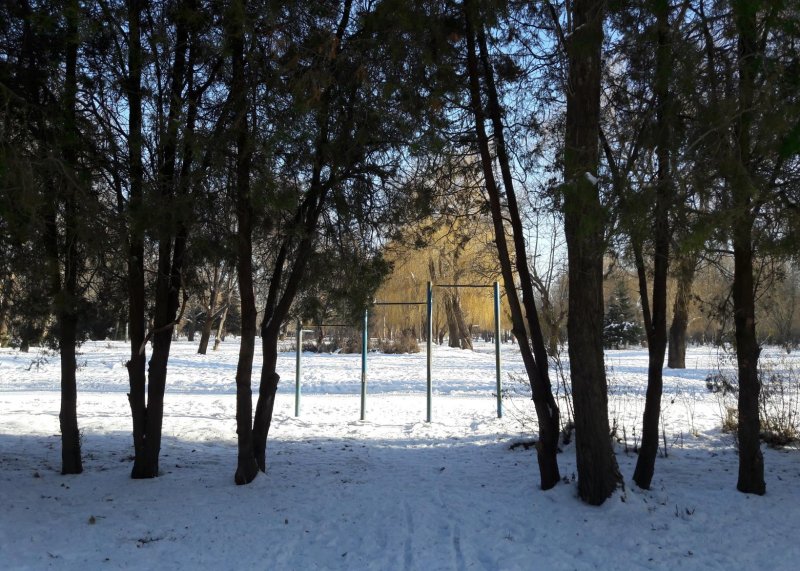 Площадка для воркаута в городе Симферополь №6053 Маленькая Советская фото