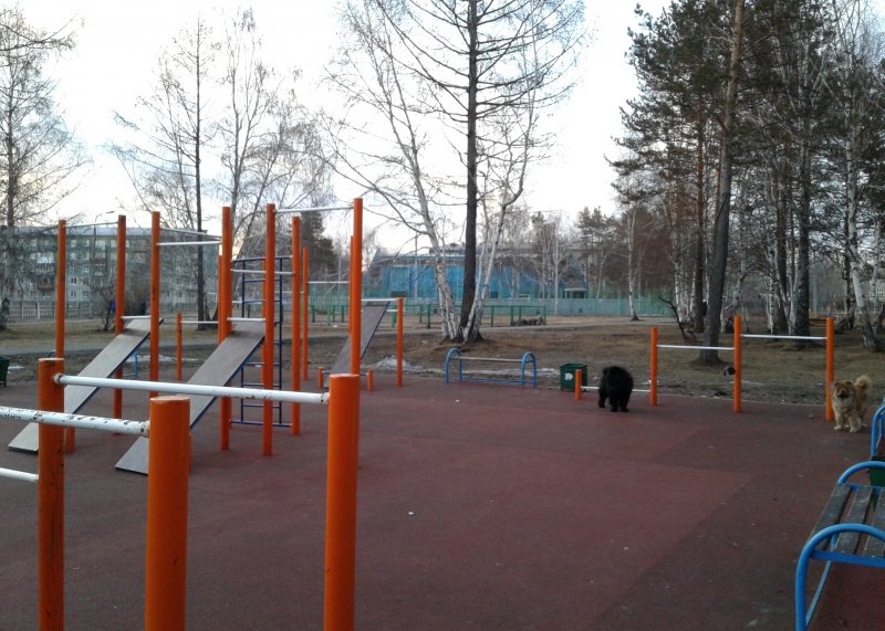 Площадка для воркаута в городе Ангарск №5063 Маленькая Современная фото