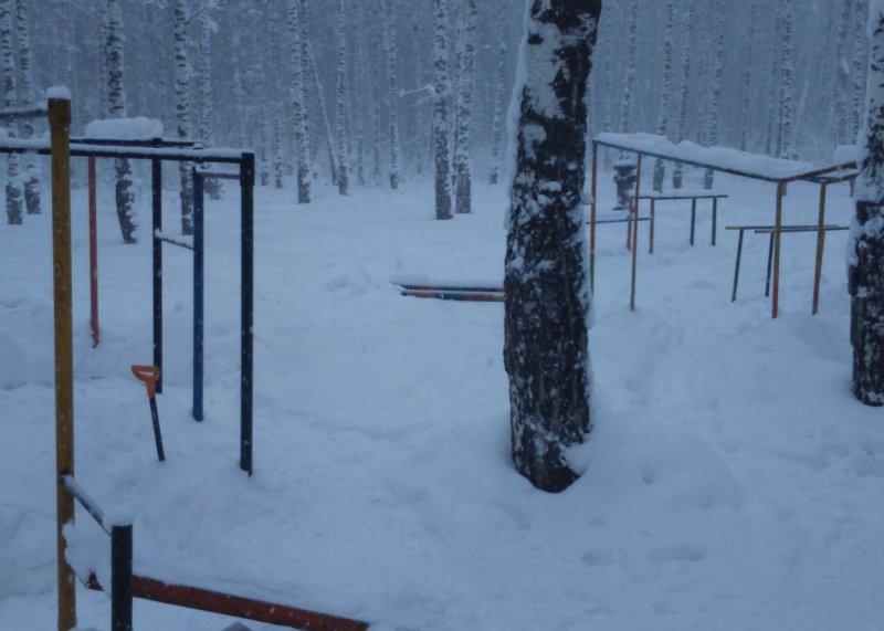 Площадка для воркаута в городе Белебей №6079 Большая Советская фото