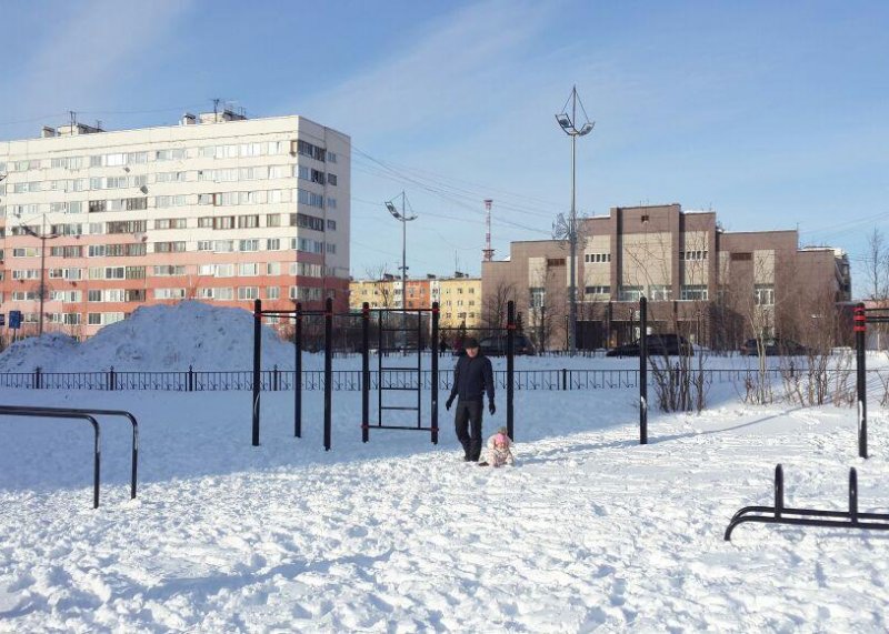 Площадка для воркаута в городе Новый Уренгой №6240 Маленькая Современная фото