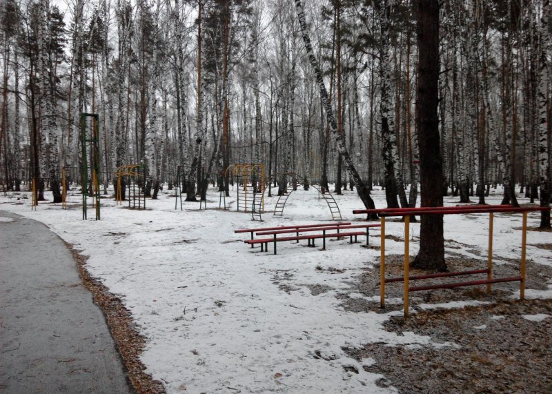 Площадка для воркаута в городе Заречный №6353 Средняя Советская фото