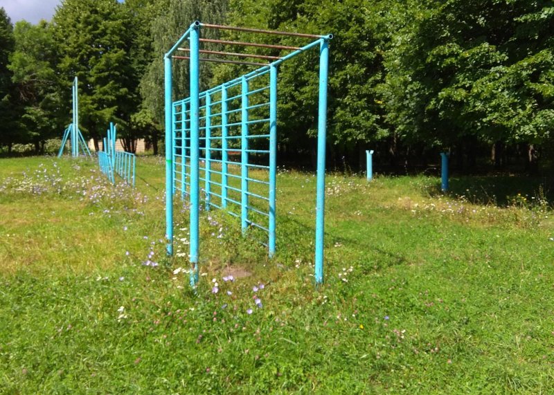 Площадка для воркаута в городе Тула №7342 Маленькая Советская фото