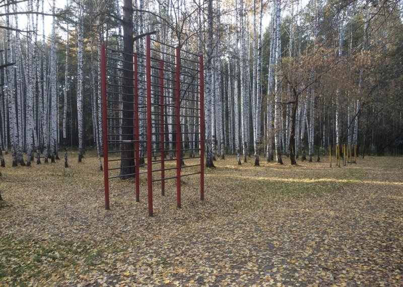 Площадка для воркаута в городе Екатеринбург №7772 Маленькая Советская фото