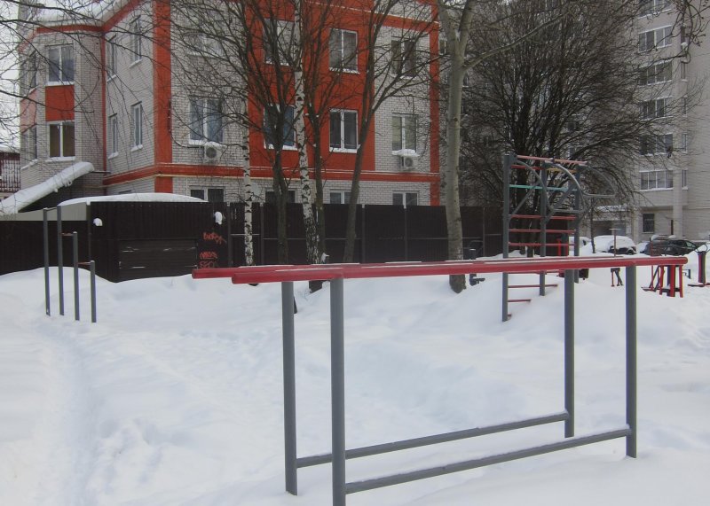 Площадка для воркаута в городе Сергиев Посад №8248 Маленькая Советская фото