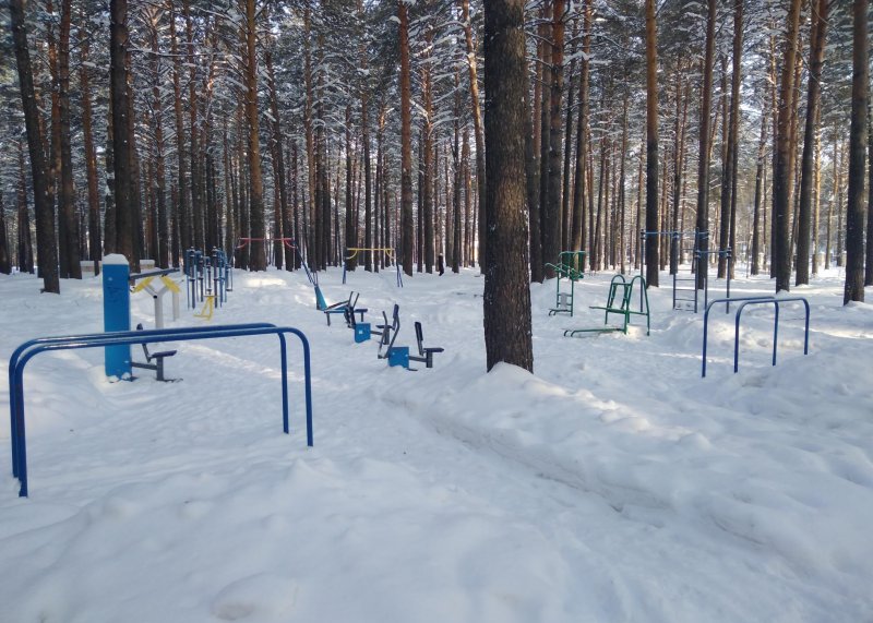 Площадка для воркаута в городе Северск №8281 Большая Современная фото