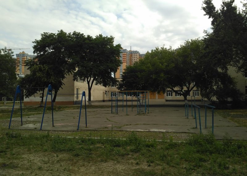 Площадка для воркаута в городе Киев №8673 Маленькая Советская фото