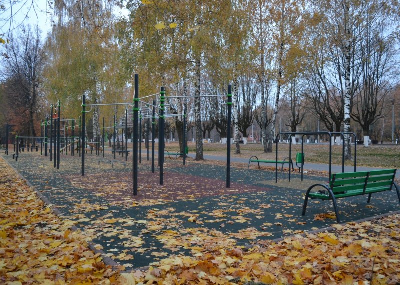 Площадка для воркаута в городе Брянск №9154 Средняя Хомуты фото