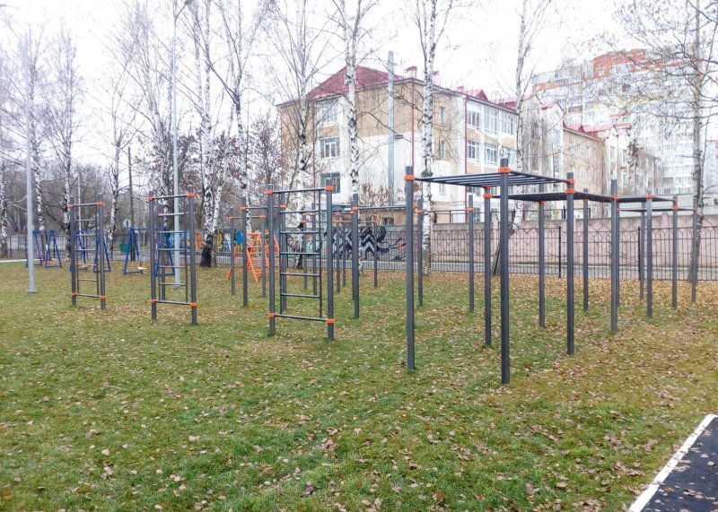 Площадка для воркаута в городе Брянск №9214 Средняя Хомуты фото