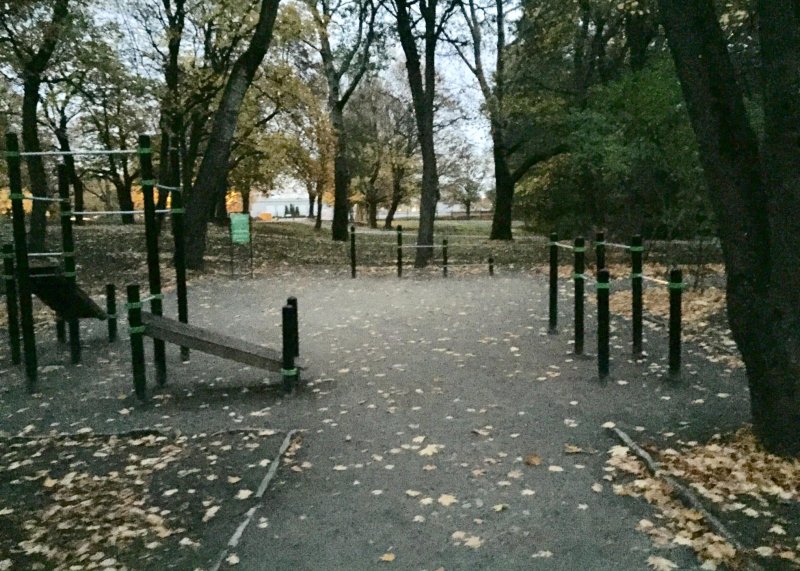 Площадка для воркаута в городе Таллин №9230 Маленькая Хомуты фото