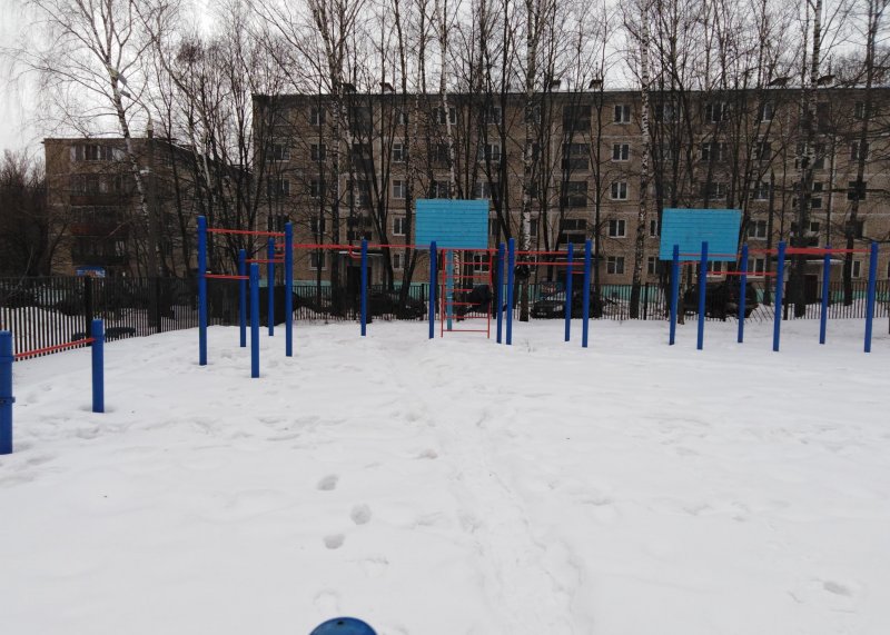 Площадка для воркаута в городе Красногорск №9410 Средняя Современная фото