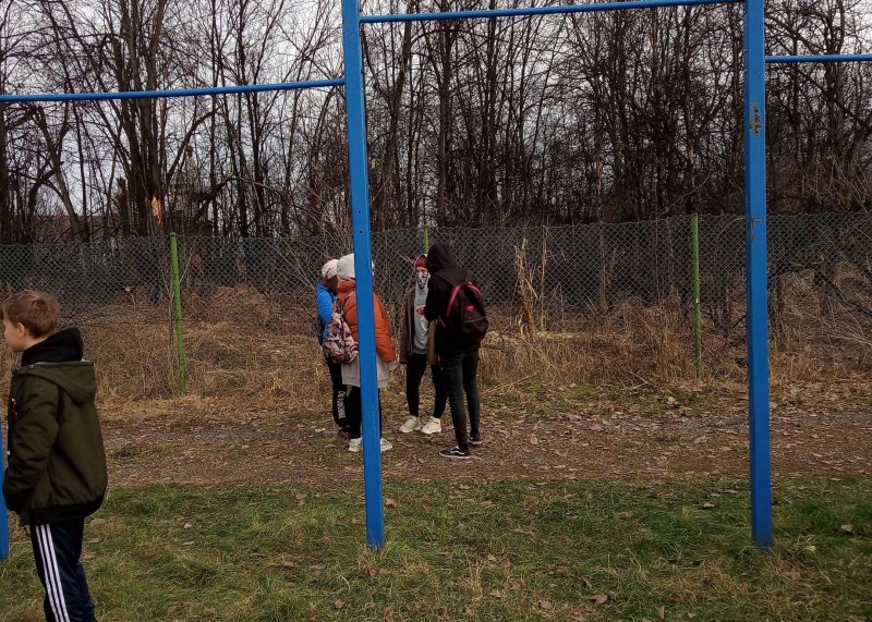 Площадка для воркаута в городе Елизово №10305 Маленькая Советская фото