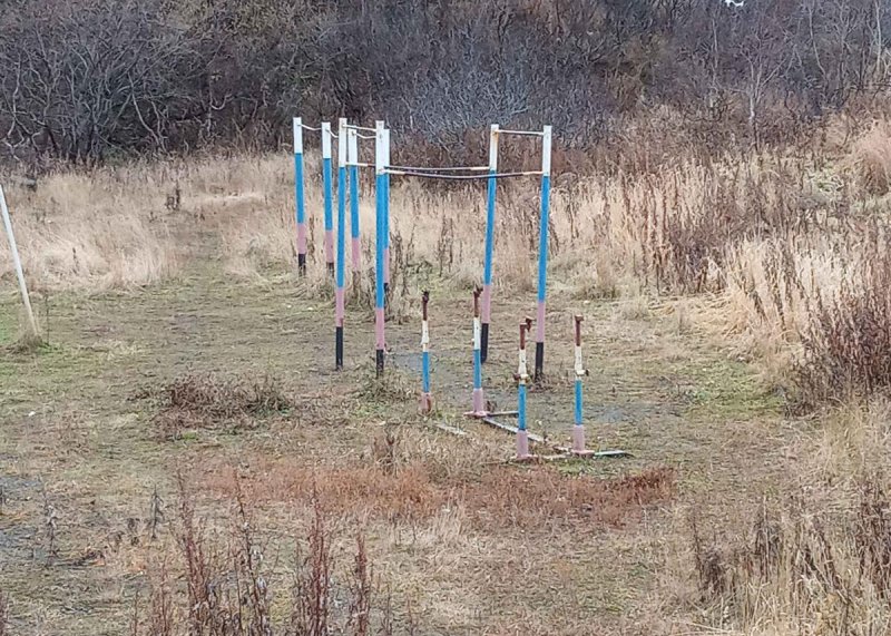 Площадка для воркаута в городе Петропавловск-Камчатский №10312 Маленькая Советская фото