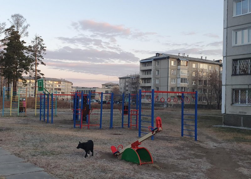 Площадка для воркаута в городе Ангарск №10329 Маленькая Современная фото