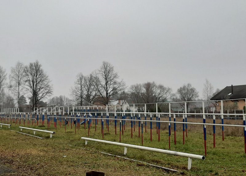 Площадка для воркаута в городе Наро-Фоминск №10364 Большая Советская фото