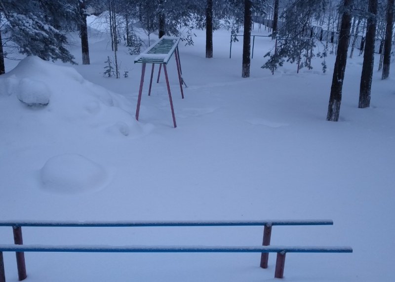 Площадка для воркаута в городе Печора №10498 Маленькая Советская фото