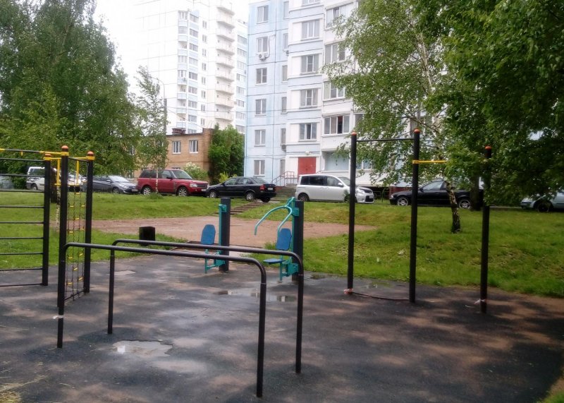 Площадка для воркаута в городе Зеленоград №10761 Маленькая Хомуты фото