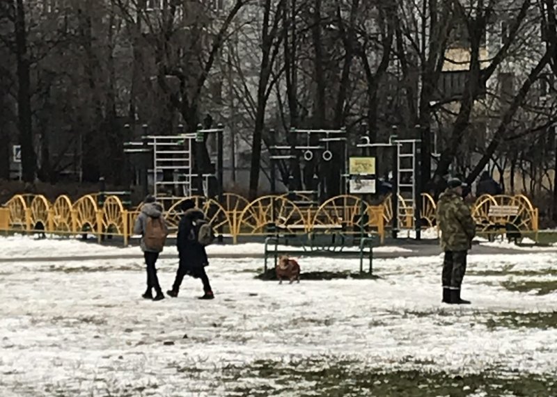 Площадка для воркаута в городе Королев №11148 Средняя Хомуты фото