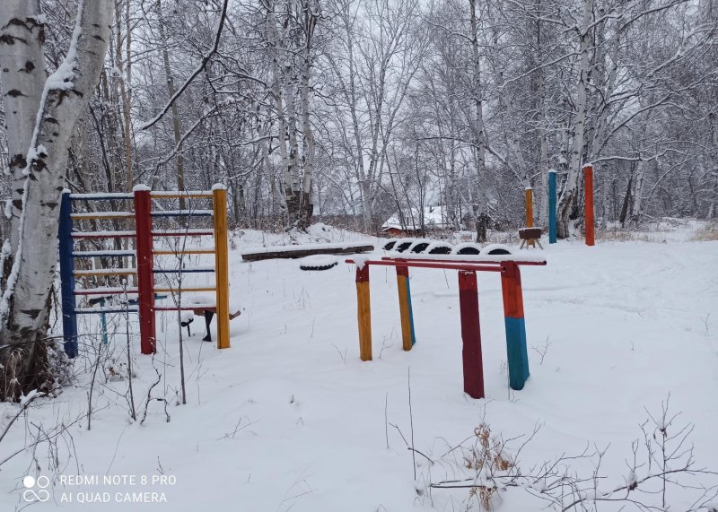 Площадка для воркаута в городе Петропавловск-Камчатский №11155 Маленькая Советская фото