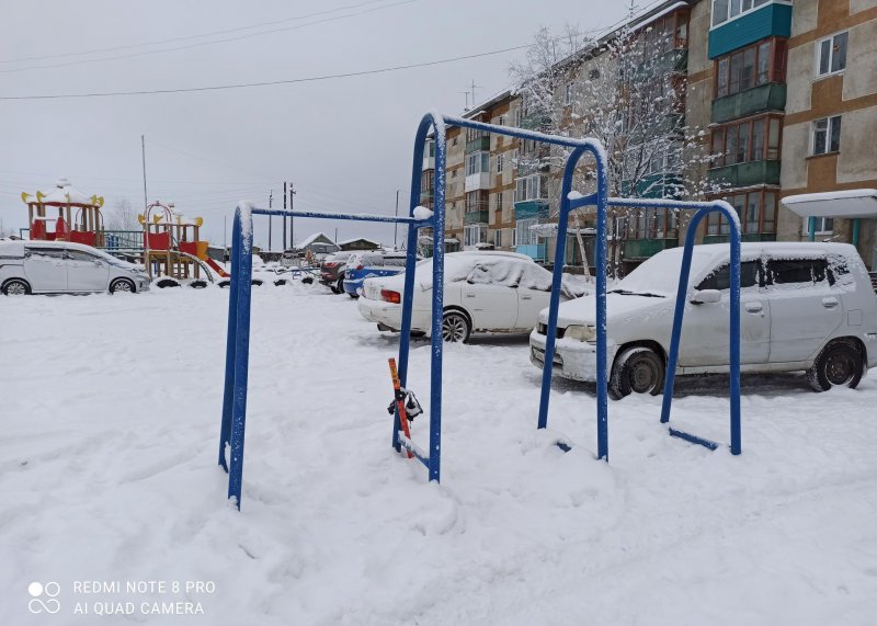 Площадка для воркаута в городе Петропавловск-Камчатский №11167 Маленькая Советская фото